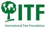 International Tree Foundation